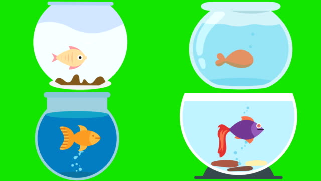 Dibujos-animados-peceras-con-peces-en-una-pantalla-verde