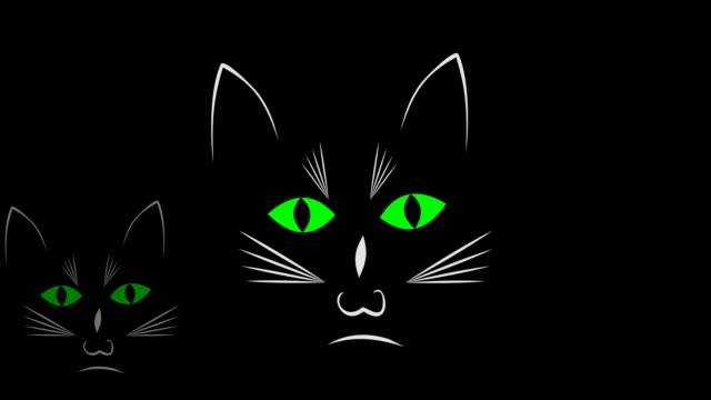 Tres-gatos-negros-curiosos-en-la-animación-de-la-oscuridad