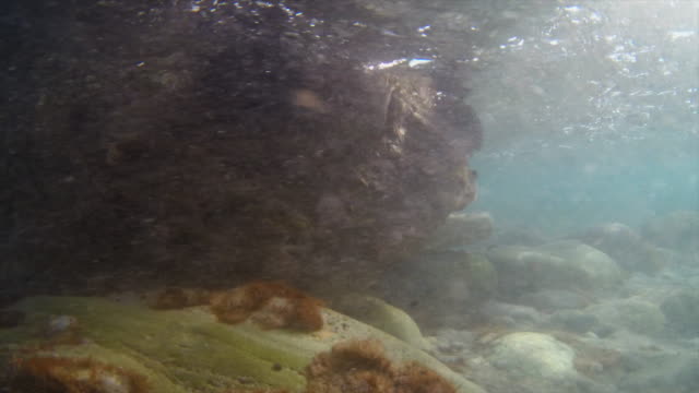 Bajo-el-agua-la-piedra-al-atardecer-4k