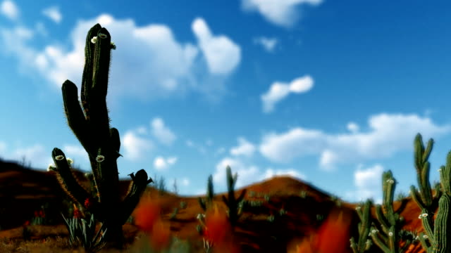 Saguaro-Cactus-en-el-desierto-contra-nubes-de-timelapse,-alejar