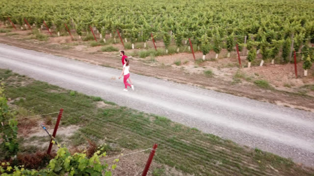 Piombino,-Livorno,-Tuscany,-Italy.-Young-adult-couple-run-down-the-road-in-vineyards.-Aerial-view