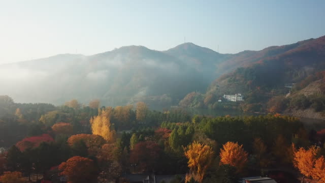 Vista-aérea.-Amanecer-de-otoño-en-la-isla-de-Nami,-Seúl-Corea