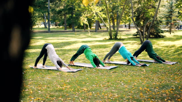 Pretty-girls-sportswomen-are-practising-yoga-outdoors-in-city-park-doing-exercises-on-bright-mats-wearing-sports-clothing.-Nature,-well-being-and-activity-concept.