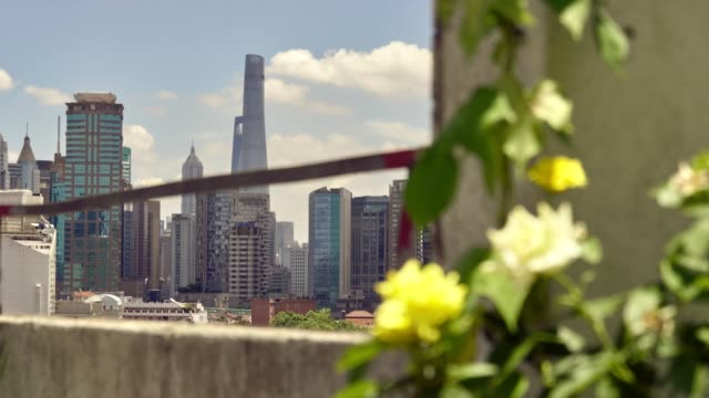 Fantastischen-Blick-über-Shanghai-Stadtzentrum-entfernt-im-Juli-2018.