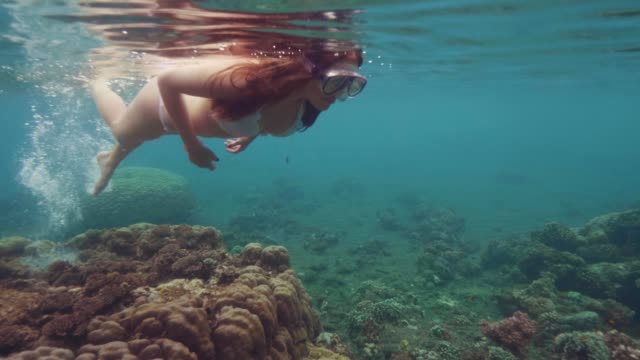 Young-woman-in-swimsuit-and-snorkel-mask-swimming-under-water-and-watching-coral-reef-and-sea-fish.-Woman-snorkeling-in-ocean-water.-Beautiful-underwater-world-and-marine-life.