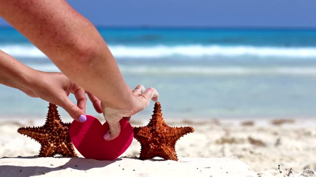 Process-of-decorating.--Putting-heart-between-two-starfishes--on-caribbean-sandy-beach