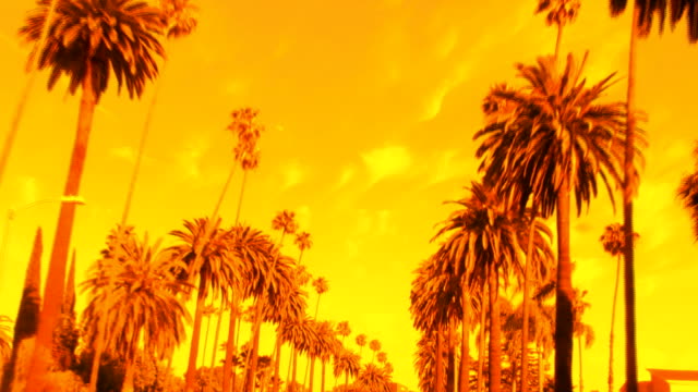 Beverly-Hills-palmeras,-la-espectacular-puesta-de-sol-HD