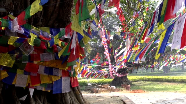 Palmeras-con-budista-rezar-flags-Buddha-de-nacimiento-en-Lumbini,-Nepal