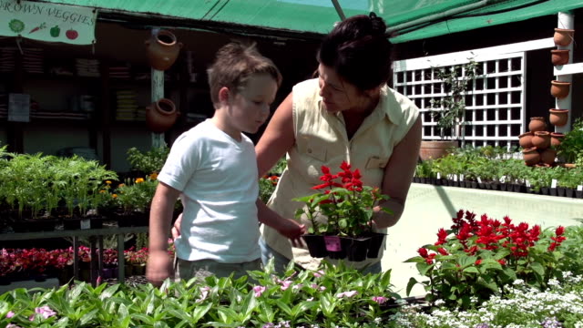 Madre-y-niño-Seleccionar-seedlings-en-un-jardín-de-infancia,-Sudáfrica