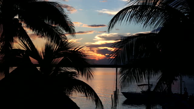 Sonnenuntergang-mit-Palm-Baum-Blätter-Kontur-am-Strand