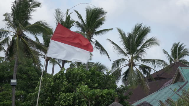 Die-Flagge-von-Indonesien-entwickelt-Wind-vor-dem-Hintergrund-der-Palmen-am-tropischen-Strand