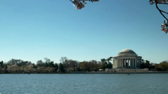 Morgen-Topf-mit-dem-Jefferson-Memorial-und-Kirschbäume-in-voller-Blüte