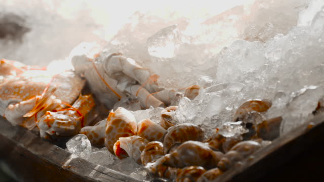 Fresh-seafood-on-ice.
