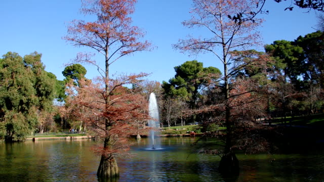 Frente-al-lago-Crystal-Palace,-Retiro-park-Madrid