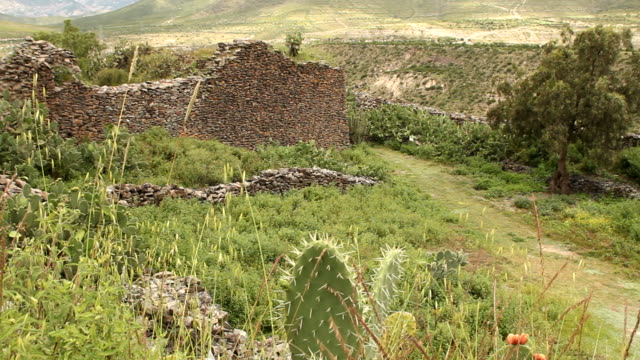 Ancient-walls-built-by-Wari-people