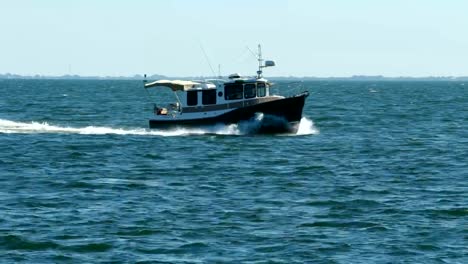 Fischerboot-Segeln-Sie-durch-in-Tampa-Bay