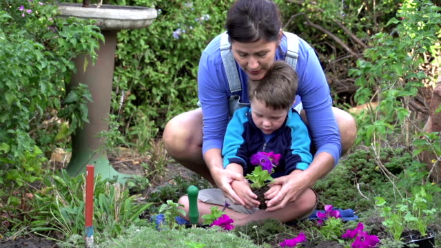 Madre-y-niño-seedlings-Plantando-flores-en-el-jardín,-Sudáfrica