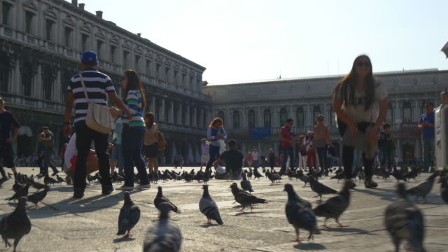 italy-sunny-day-venice-city-famous-san-marco-square-pigeons-crowded-panorama-4k