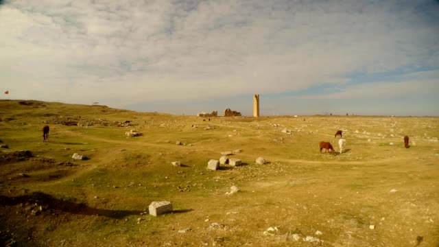un-páramo,-un-caballo,-las-ruinas-de-una-antigua-Universidad-musulmana-cerca-de-la-frontera-entre-Turquía