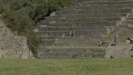 Workers-repair-terraces-at-Machupicchu-Peru