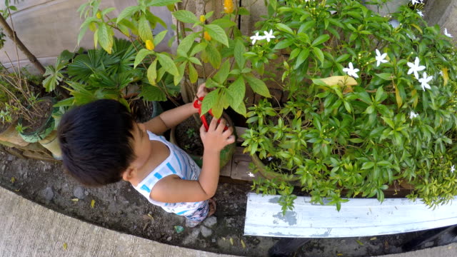 Niño-aprender-jardinería-instalaciones-para-el-corte-con-pinzas-de-juguete