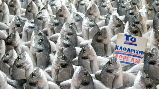 ungewöhnliche-Anzeige-von-frischem-Fisch-im-Zentralmarkt-Athen