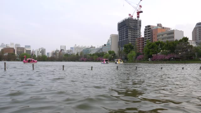 Barcos-en-el-estanque-de-Shinobazu-en-Parque-de-Ueno,-panorama-en-el-centro-de-Tokio