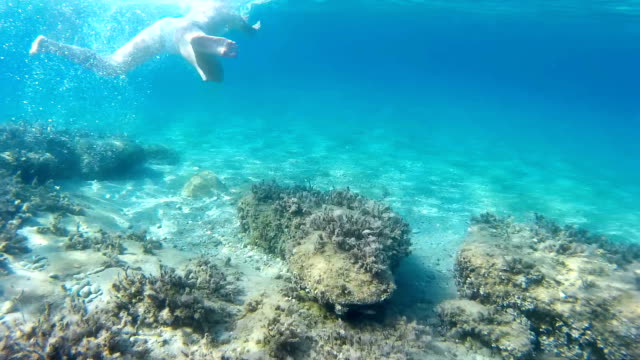 Buceo-en-el-exótico-mares