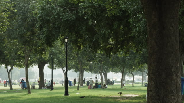 Lapso-de-tiempo-de-disparo-de-personas-en-un-parque,-Delhi,-India