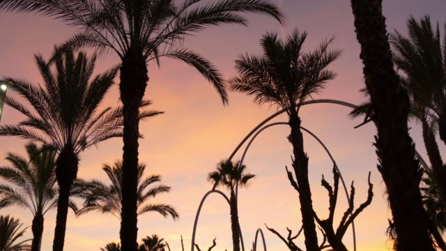 Barcelona-Rosa-Sonnenuntergang-Himmel-Palm-Metall-Denkmal-4-k-Spanien