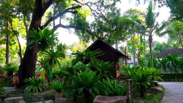 Casas-de-turismo-de-una-sola-planta-inmersas-en-la-vegetación-de-la-isla.