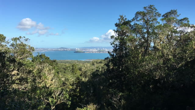 Auckland-city-skyline-from-Rangitoto-Island-New-Zealand