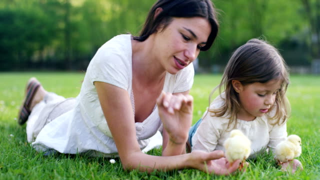 Die-besten-Momente-aus-dem-Leben,-das-süße-Mädchen-spielt-im-Park-mit-kleinen-chickens(yellow)-auf-dem-Hintergrund-der-grünen-Rasen-und-Bäumen,-das-Konzept:-Kinder,-Liebe,-Ökologie,-Umwelt,-Jugend.
