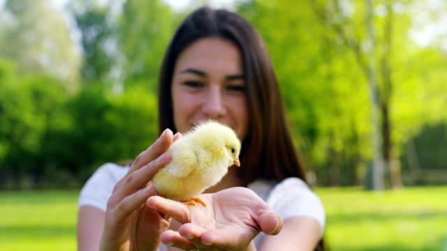 Die-besten-Momente-aus-dem-Leben,-das-süße-Mädchen-spielt-mit-kleinen-chickens(yellow)-auf-dem-Hintergrund-der-grünen-Rasen-und-Bäumen-im-park