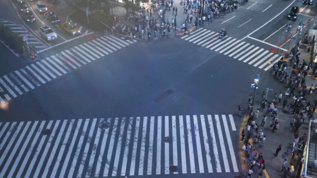 High-Angle-Time-Lapse-Shot-of-the-Famous-Shibuya-Pedestrian-Scramble-Crosswalk-with-Crowds-of-People-Crossing-and-Traffic.-Evening-in-the-Big-City.