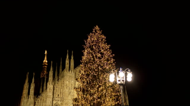 Milan-Kathedrale-Weihnachtsbaum