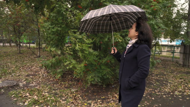 Mädchen-mit-Regenschirm-steht-auf-einem-Baum