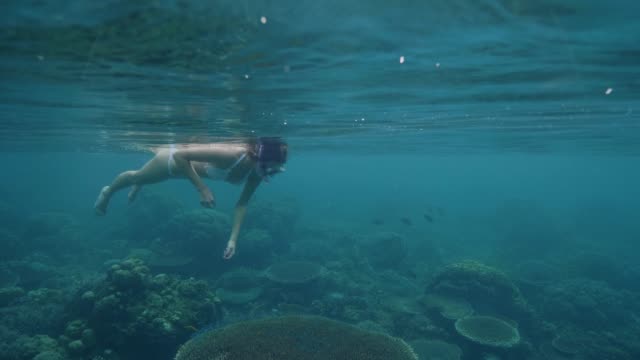 Woman-in-snorkeling-mask-swimming-undersea-and-watching-coral-reef-and-fish.-Young-woman-snorkeling-in-ocean-and-enjoying-underwater-world.-Marine-life.