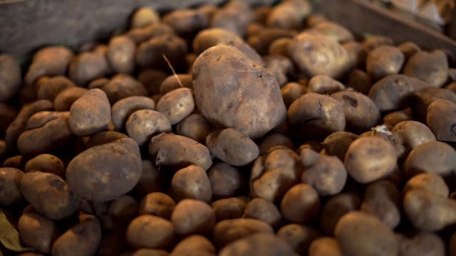 Montones-de-patatas-a-la-venta-en-el-mercado-vegetal
