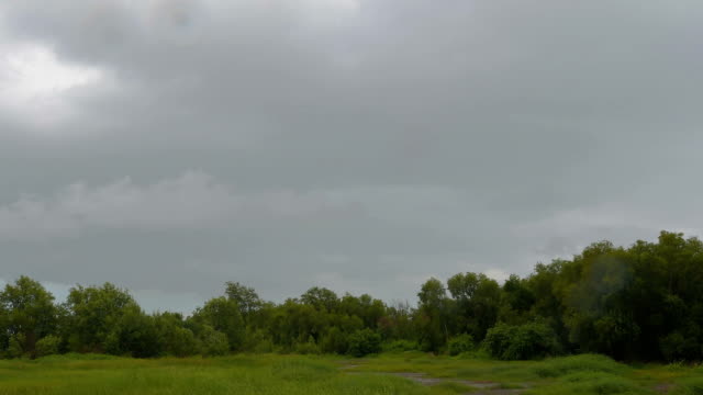 Moving-of-rain-clouds-over-the-forest-before-a-storm-in-rainy-season.