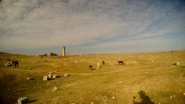 A-wasteland-with-horses-and-people-in-the-distance-on-the-border-of-Turkey-and-Syria