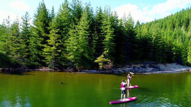 Paar-Rudern-einen-Stand-up-Paddle-Board-im-Fluss-4k