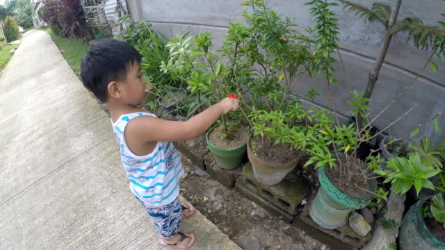 Jungen-lernen-Gartenarbeit-Zerlegebetrieb-mit-Spielzeug-Zange