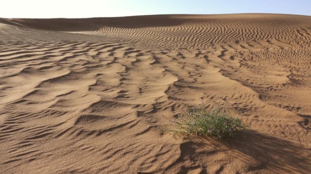 Sanddünen-in-der-Wüste-Sahara-Wind-bläst-Sand