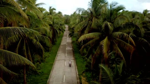 Drohne-Sicht-des-Menschen-in-Palm-Bäume-Straße-auf-den-Philippinen,-Luftaufnahme-von-Drohne-Motorrad-zu-fahren