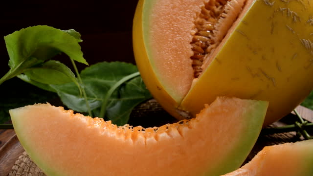 junger-Spross-der-japanischen-Melonen-oder-Cantaloupe-Melonen-Pflanzen-im-Gewächshaus