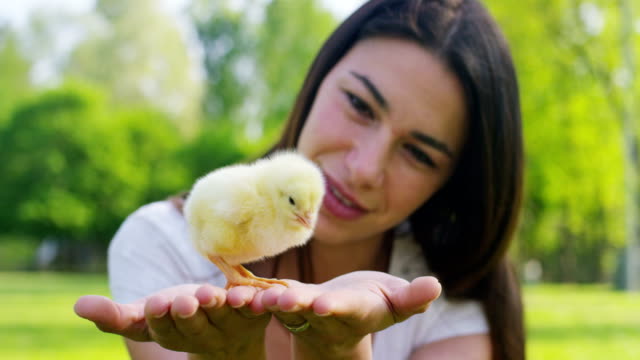 Die-besten-Momente-aus-dem-Leben,-das-süße-Mädchen-spielt-mit-kleinen-chickens(yellow)-auf-dem-Hintergrund-der-grünen-Rasen-und-Bäumen-im-park
