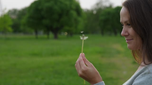 Woman-looking-on-small-seeds-on-dandelion-head