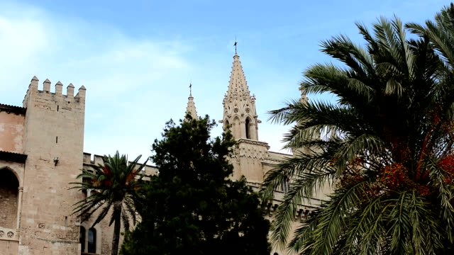 Palma-de-Mallorca-Medieval-fortaleza-viento-con-palmeras