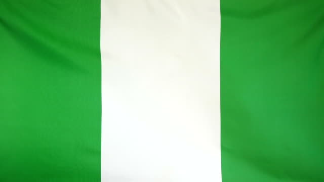 Nigeria-Flagge-echter-Stoff-Nahaufnahme